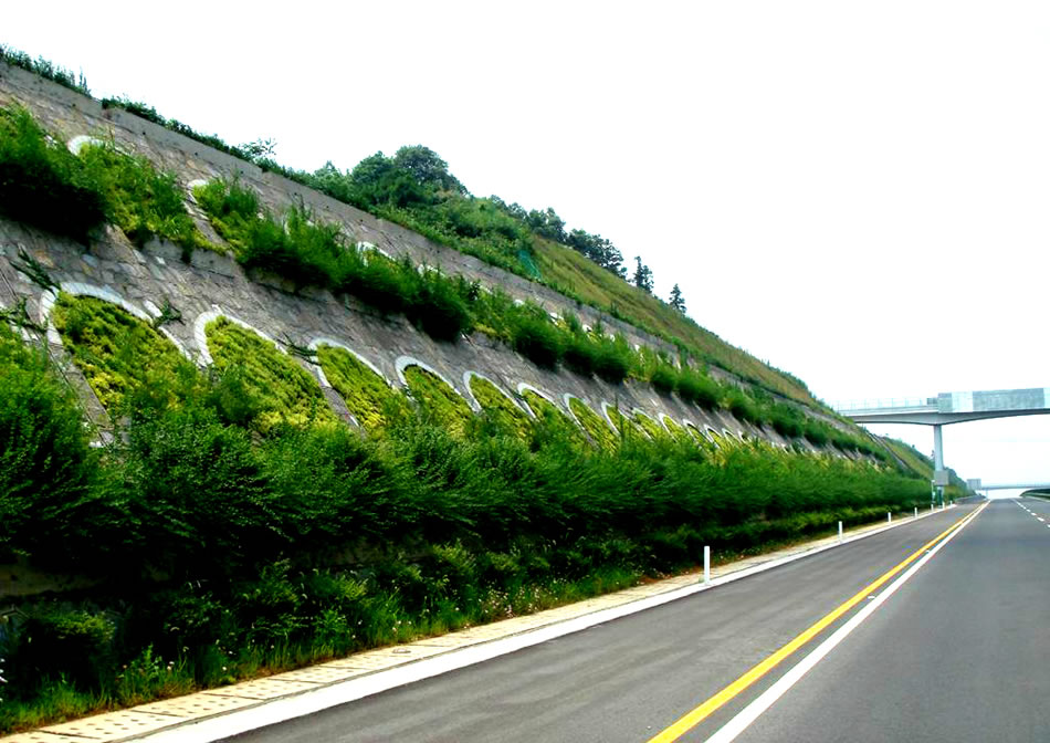 湖北滬蓉西高速公路綠化